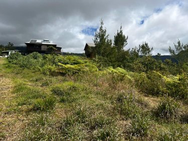 Terrain a batir a vendre La Plaine-des-Palmistes 97431 Réunion 5120 m2  411400 euros