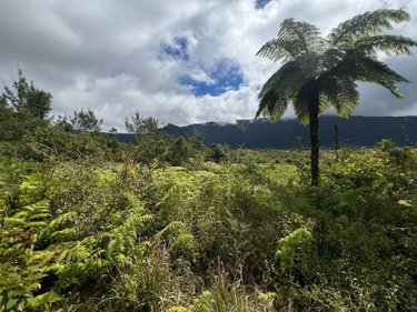 Terrain a batir a vendre La Plaine-des-Palmistes 97431 Réunion 5120 m2  411400 euros