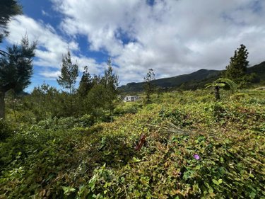 Terrain a batir a vendre La Plaine-des-Palmistes 97431 Réunion 5120 m2  411400 euros