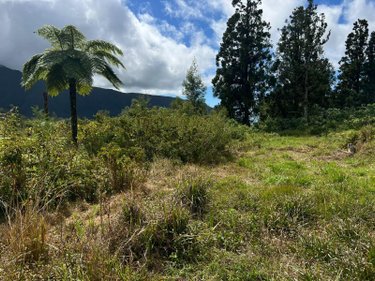 Terrain a batir a vendre La Plaine-des-Palmistes 97431 Réunion 5120 m2  411400 euros