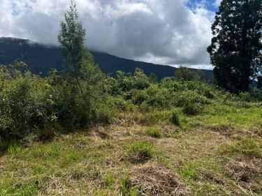 Terrain a batir a vendre La Plaine-des-Palmistes 97431 Réunion 5120 m2  411400 euros