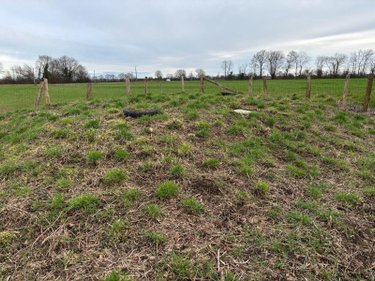 Maison a vendre La Chapelle-du-Bois 72400 Sarthe 80 m2 4 pièces 126600 euros