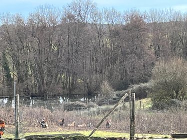 Maison a vendre Saint-Ciers-d'Abzac 33910 Gironde 164 m2 5 pièces 600000 euros