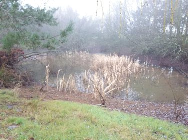 Maison a vendre Nouans-les-Fontaines 37460 Indre-et-Loire 158 m2 8 pièces 198850 euros