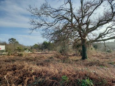 Terrain a batir a vendre Crozon 29160 Finistère 6973 m2  231880 euros