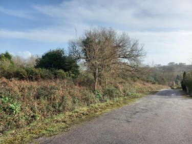 Terrain a batir a vendre Crozon 29160 Finistère 6973 m2  231880 euros