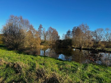 Terrains de loisirs bois etangs a vendre Pleine-Fougères 35610 Ille-et-Vilaine 4360 m2  21680 euros