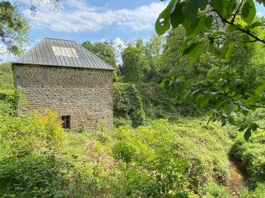 Terrains de loisirs bois etangs a vendre Les Portes du Coglais 35460 Ille-et-Vilaine 14821 m2  73360 euros