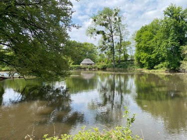 Terrains de loisirs bois etangs a vendre Les Portes du Coglais 35460 Ille-et-Vilaine 14821 m2  73360 euros