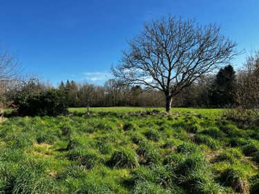 Maison a vendre Scaër 29390 Finistère 107 m2 7 pièces 190800 euros