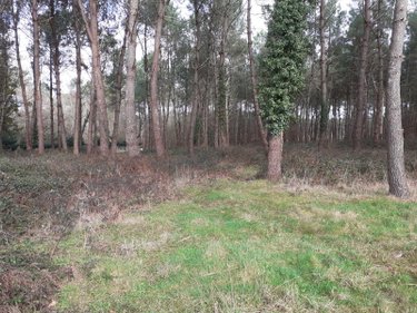 Maison a vendre Saint-Biez-en-Belin 72220 Sarthe 107 m2 5 pièces 210000 euros