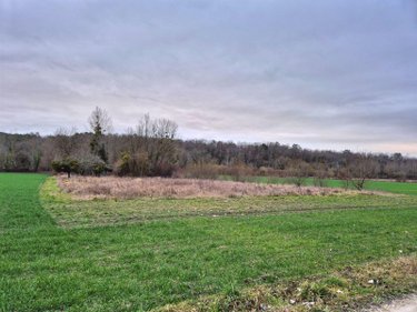 Terrains de loisirs bois etangs a vendre Landreville 10110 Aube 2148 m2  4800 euros