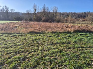 Terrains de loisirs bois etangs a vendre Landreville 10110 Aube 2148 m2  4000 euros