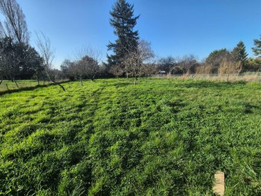 Maison a vendre Cluis 36340 Indre 80 m2 3 pièces 64000 euros