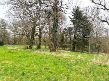 Maison a vendre Baulon 35580 Ille-et-Vilaine 145 m2 3 pièces 217980 euros