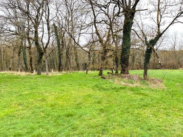 Maison a vendre Baulon 35580 Ille-et-Vilaine 145 m2 3 pièces 217980 euros