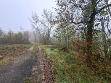 Terrains de loisirs bois etangs a vendre Saint-Léon-sur-Vézère 24290 Dordogne 25154 m2  28500 euros