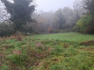 Terrains de loisirs bois etangs a vendre Saint-Léon-sur-Vézère 24290 Dordogne 25154 m2  28500 euros