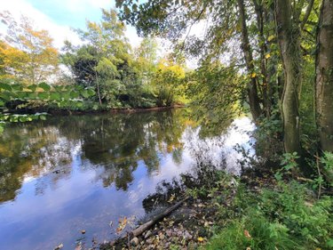 Terrains de loisirs bois etangs a vendre Châteaudun 28200 Eure-et-Loir 6010 m2  18000 euros