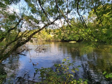 Terrains de loisirs bois etangs a vendre Châteaudun 28200 Eure-et-Loir 6010 m2  18000 euros