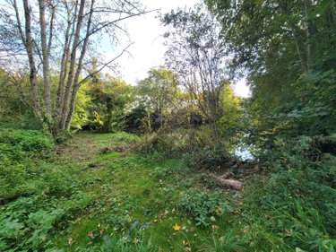 Terrains de loisirs bois etangs a vendre Châteaudun 28200 Eure-et-Loir 6010 m2  18000 euros