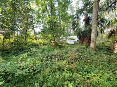 Terrains de loisirs bois etangs a vendre Châteaudun 28200 Eure-et-Loir 6010 m2  18000 euros