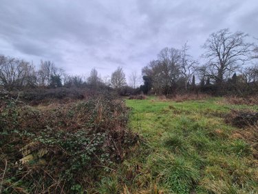 Maison a vendre Neuvy-Saint-Sépulchre 36230 Indre 60 m2 2 pièces 64000 euros