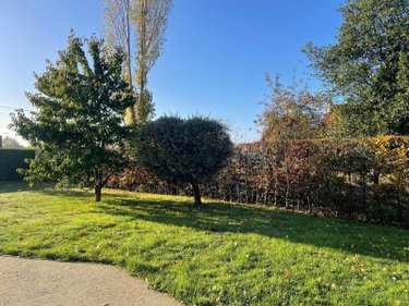 Maison a vendre Zegerscappel 59470 Nord 105 m2 5 pièces 320000 euros