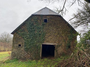 Divers a vendre Pleaux 15700 Cantal  42400 euros