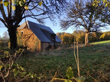 Divers a vendre Pleaux 15700 Cantal  42400 euros
