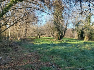 Maison a vendre Bussière-Dunoise 23320 Creuse 77 m2 3 pièces 20000 euros