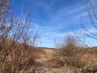 Terrain a batir a vendre Saint-Mards-en-Othe 10160 Aube 1320 m2  19000 euros