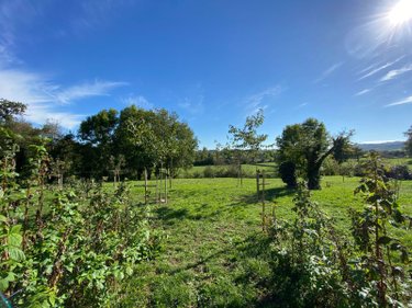 Maison a vendre Saint-Étienne-de-Maurs 15600 Cantal 109 m2 5 pièces 222600 euros