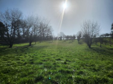 Maison a vendre Trannes 10140 Aube 220 m2 7 pièces 185500 euros