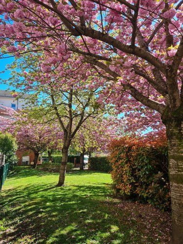 Appartement a vendre Villiers-sur-Marne 94350 Val-de-Marne 79 m2 4 pièces 269000 euros