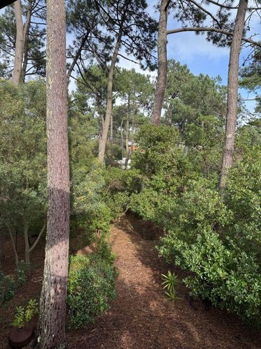 Maison a vendre Lège-Cap-Ferret 33950 Gironde 100 m2 5 pièces 976500 euros