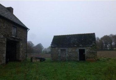 Maison a vendre Ménéac 56490 Morbihan 120 m2 9 pièces 46000 euros