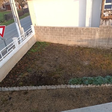 Location maison Orconte 51300 Marne 129 m2 5 pièces 700 euros