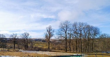 propriete a vendre Saint-Saturnin 15190 Cantal 126 m2  241500 euros