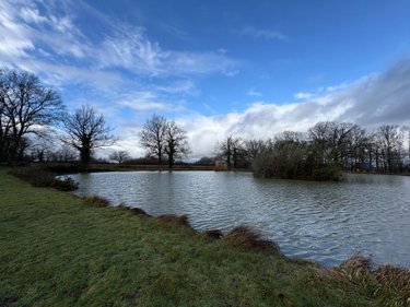 Terrains de loisirs bois etangs a vendre Maillet 36340 Indre 16788 m2  26500 euros