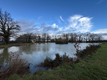Terrains de loisirs bois etangs a vendre Maillet 36340 Indre 16788 m2  26500 euros