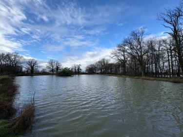 Terrains de loisirs bois etangs a vendre Maillet 36340 Indre 16788 m2  26500 euros