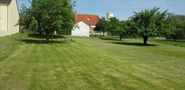 Terrain a batir a vendre Saint-Martin-d'Ablois 51530 Marne 983 m2  91000 euros