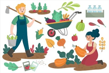 Terrains de loisirs bois etangs a vendre Épernay 51200 Marne 1332 m2  6000 euros