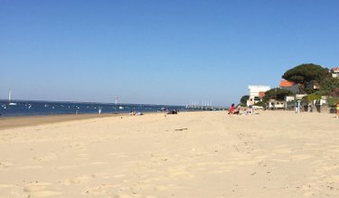 Appartement a vendre Arcachon 33120 Gironde 44 m2 2 pièces 367500 euros