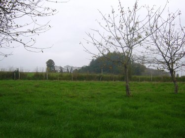 Maison a vendre Saint-Hélen 22100 Côtes-d'Armor 67 m2 3 pièces 197600 euros