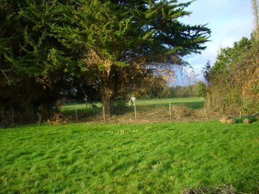 Terrain a batir a vendre La Vicomté-sur-Rance 22690 Côtes-d'Armor 423 m2  74200 euros