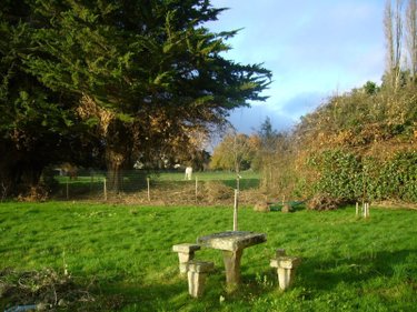 Terrain a batir a vendre La Vicomté-sur-Rance 22690 Côtes-d'Armor 423 m2  74200 euros