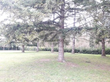 Maison a vendre Chémery 41700 Loir-et-Cher 231 m2 8 pièces 394550 euros