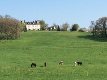 propriete a vendre Ygrande 03160 Allier 968 m2 25 pièces 2625000 euros